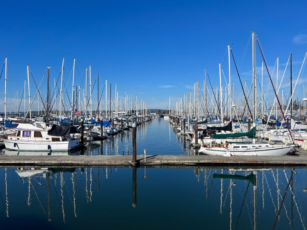 Marina insurance